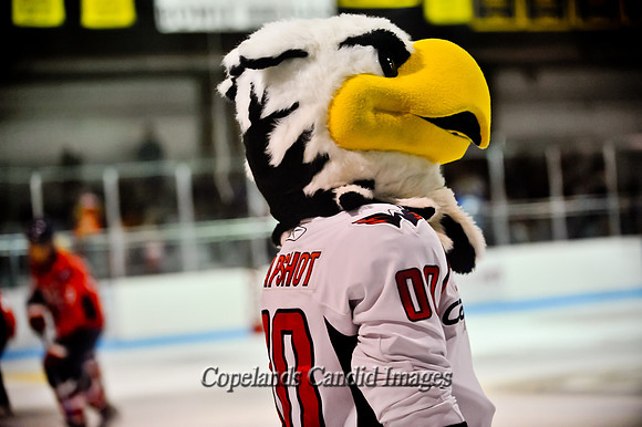 Hockey_for_Heroes_2010049
