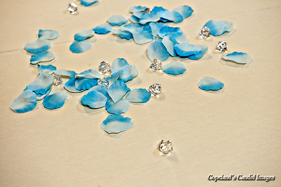 Thrift Wedding Proofs-6