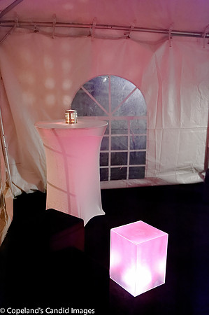Broadus Interior Design-10
