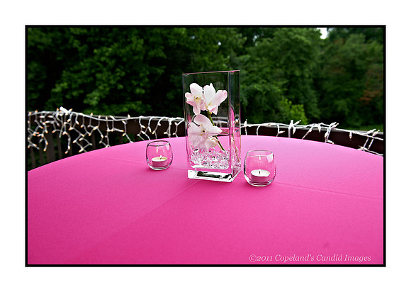 Linda_06_11_11-15