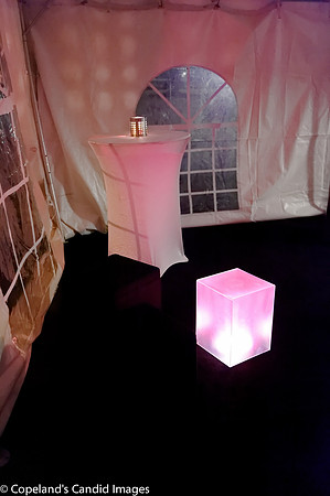 Broadus Interior Design-9