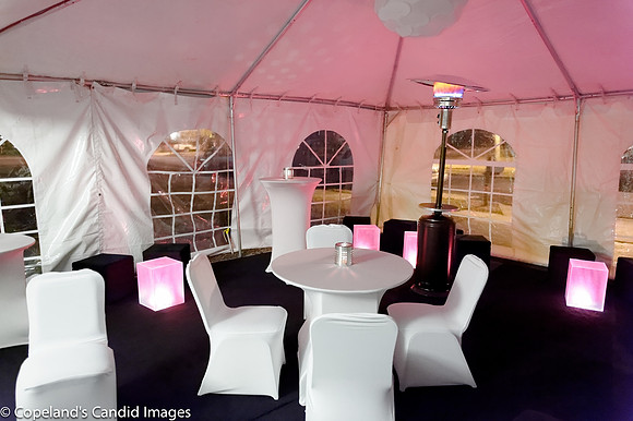 Broadus Interior Design-17