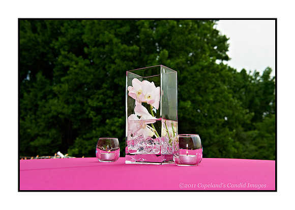 Linda_06_11_11-17